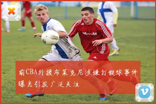 前CBA外援布莱克尼涉嫌打假球事件曝光引发广泛关注