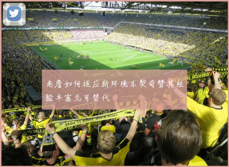 老詹如何适应新环境东契奇赞其经验丰富无可替代