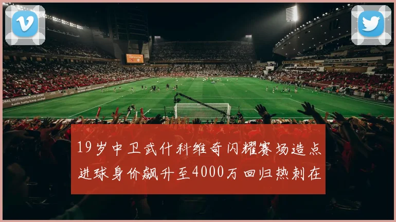 19岁中卫武什科维奇闪耀赛场造点进球身价飙升至4000万回归热刺在即
