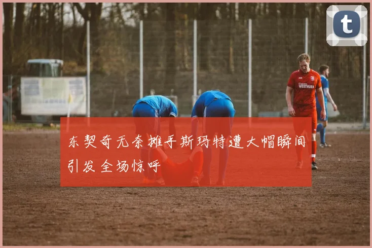 东契奇无奈摊手斯玛特遭大帽瞬间引发全场惊呼