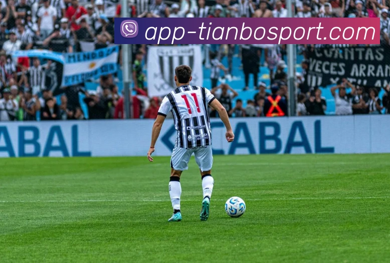 天博足球APP 封面图