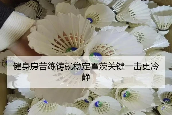 健身房苦练铸就稳定霍茨关键一击更冷静 - TIANBOSPORTS